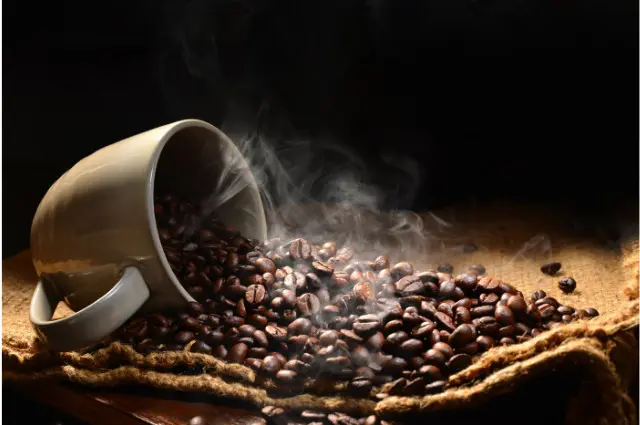 grano de café