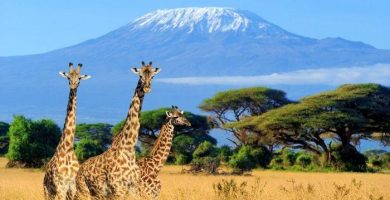 viajar a kenia