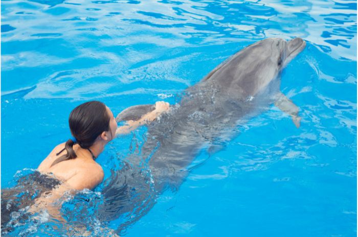 nadar con delfines isla Mujeres