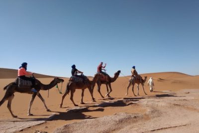 excursion Sahara