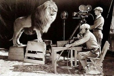 rodaje rugido leon MGM